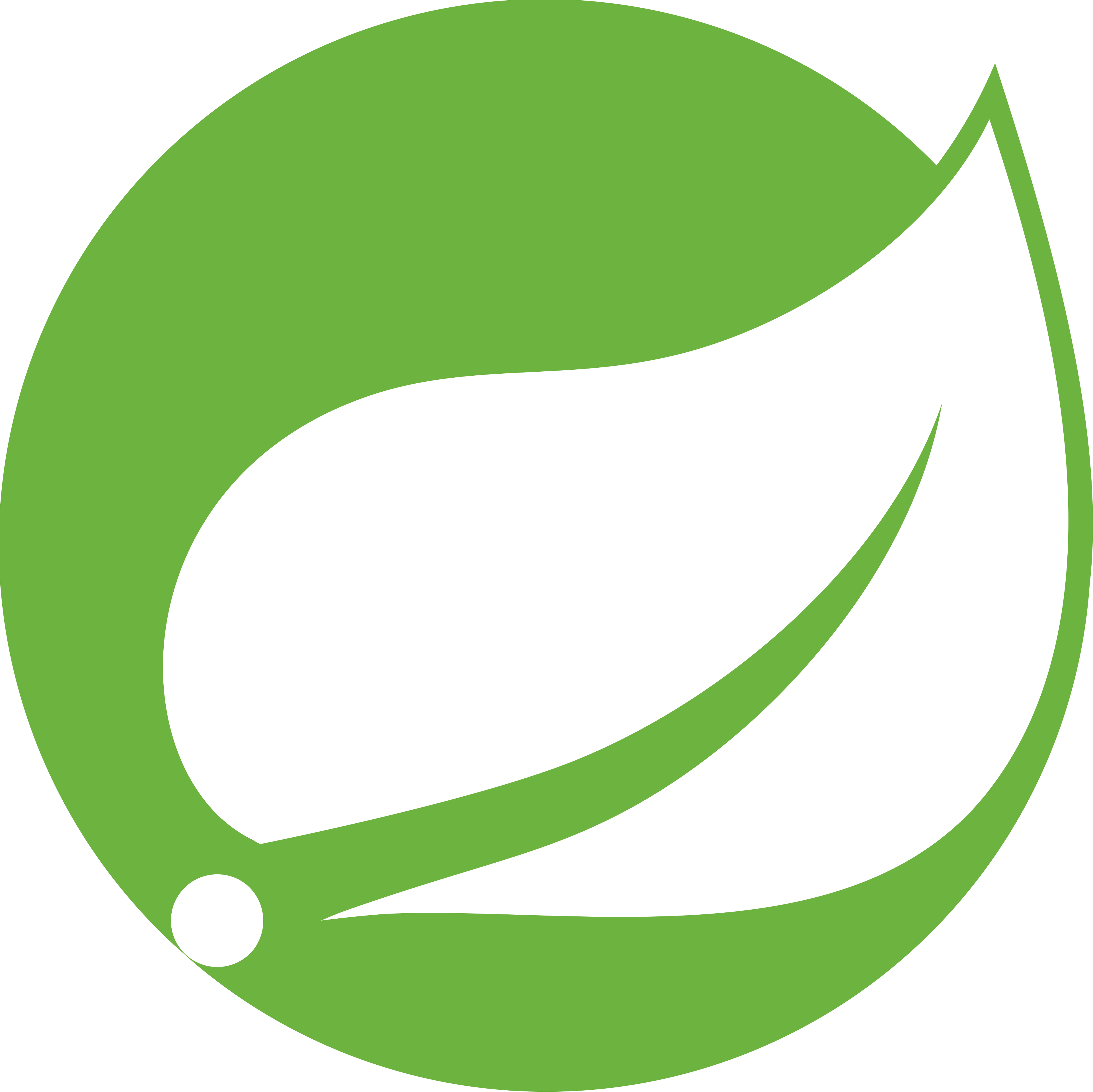Logo Spring (Broadcom)
